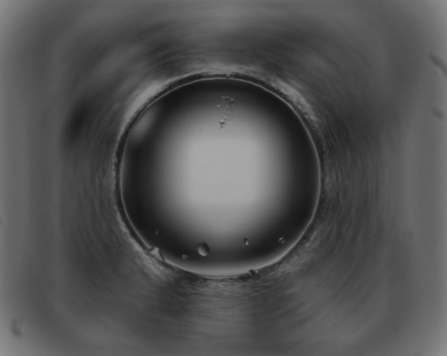 X0000093481183200710121439