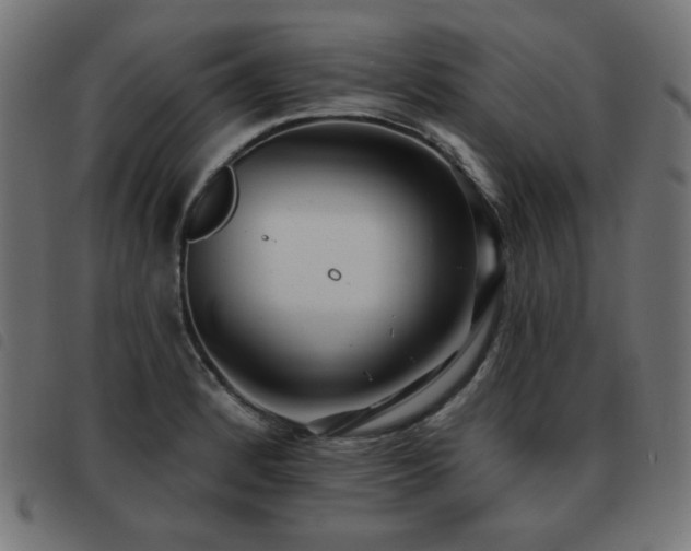 X0000093481184200710121439