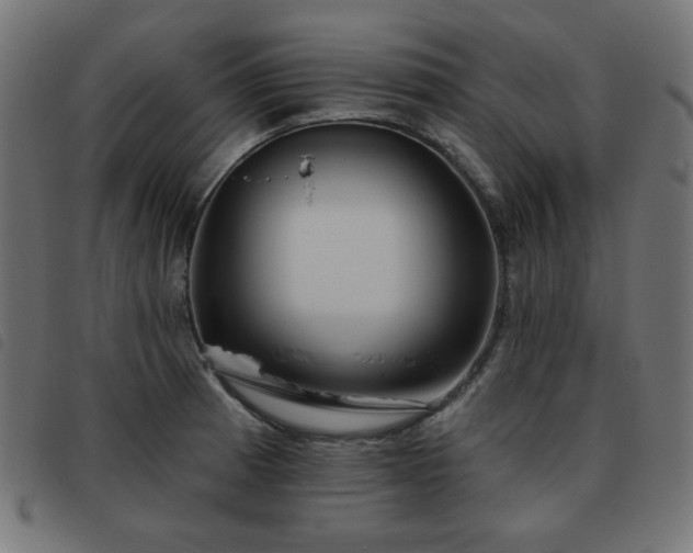 X0000093481185200710121439