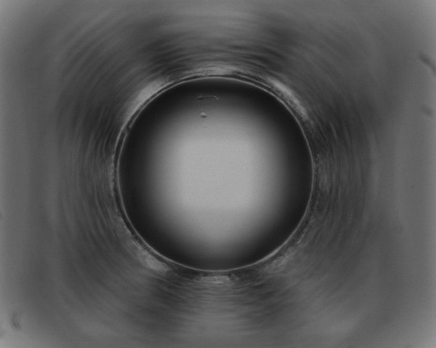 X0000093481186200710121439