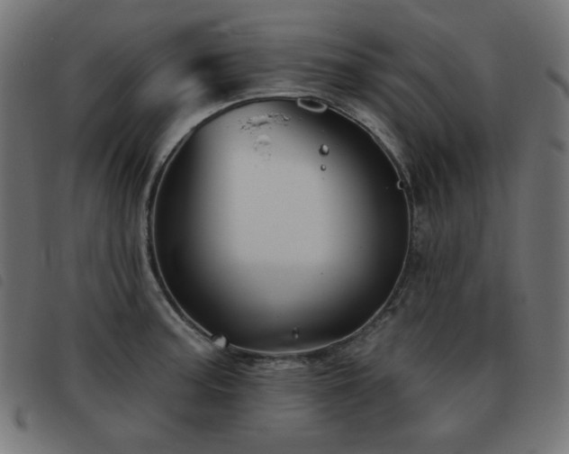 X0000093481187200710121439
