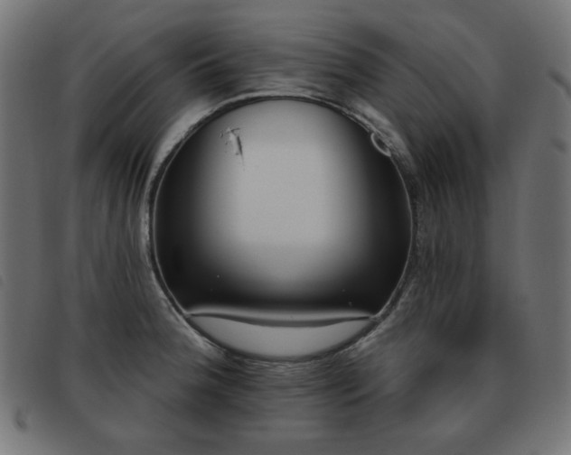 X0000093481188200710121439