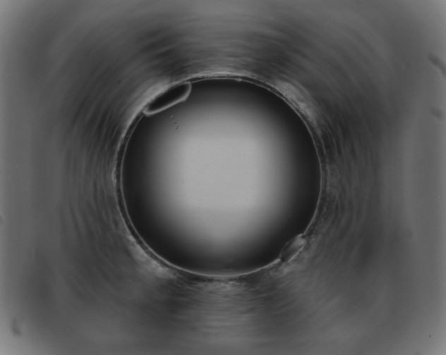 X0000093481189200710121439