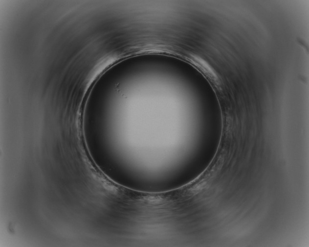 X0000093481190200710121439