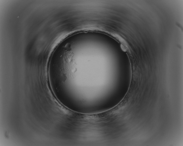 X0000093481191200710121439