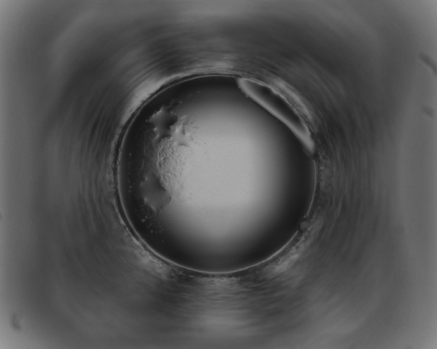 X0000093481192200710121439