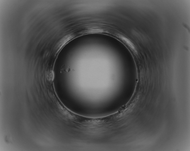 X0000093481193200710121439
