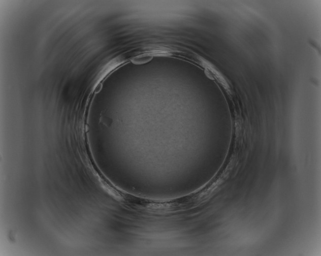 X0000093481194200710121439
