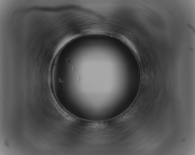 X0000093481195200710121439