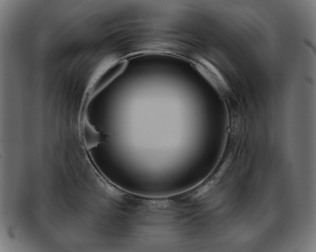 X0000093481196200710121439