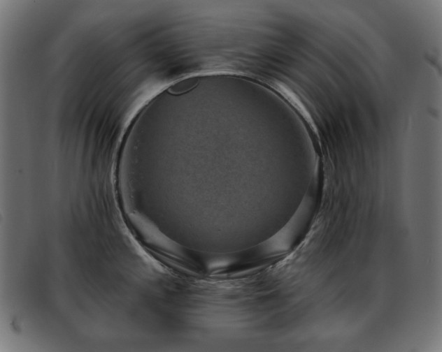 X0000093481197200710121439