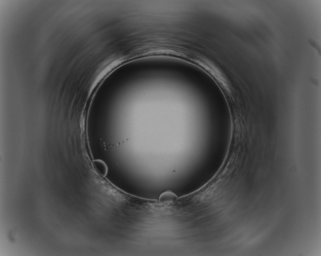 X0000093481198200710121439
