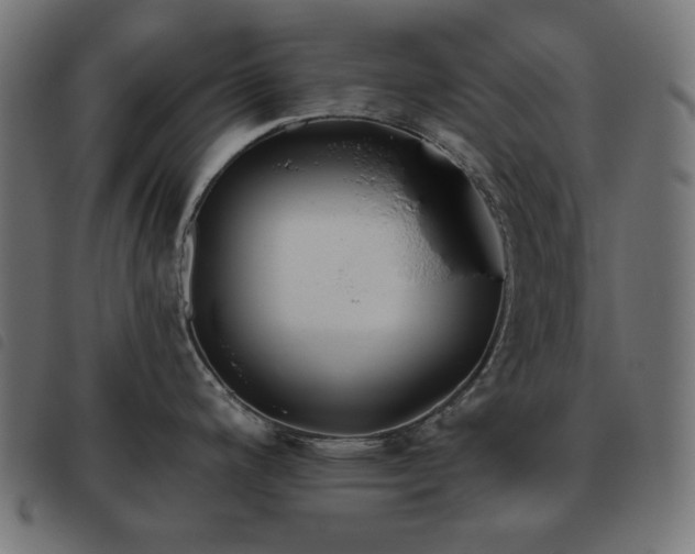 X0000093481200200710121439