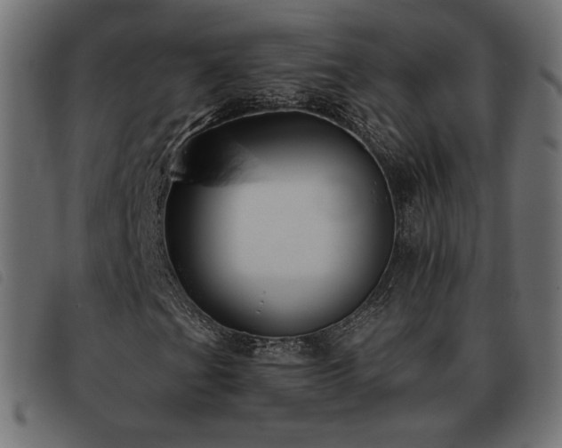 X0000093481201200710121438