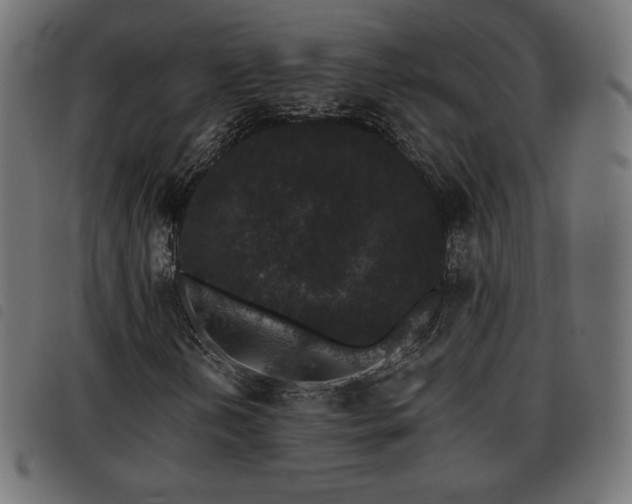 X0000093481202200710121438