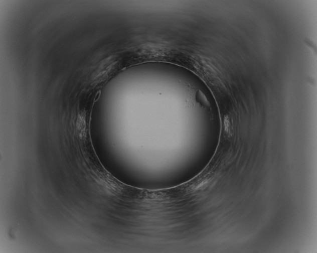 X0000093481203200710121438