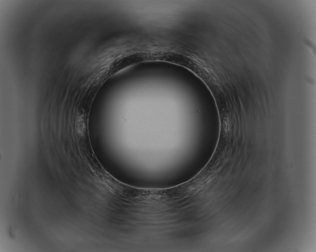 X0000093481204200710121438