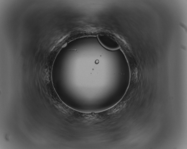 X0000093481205200710121438