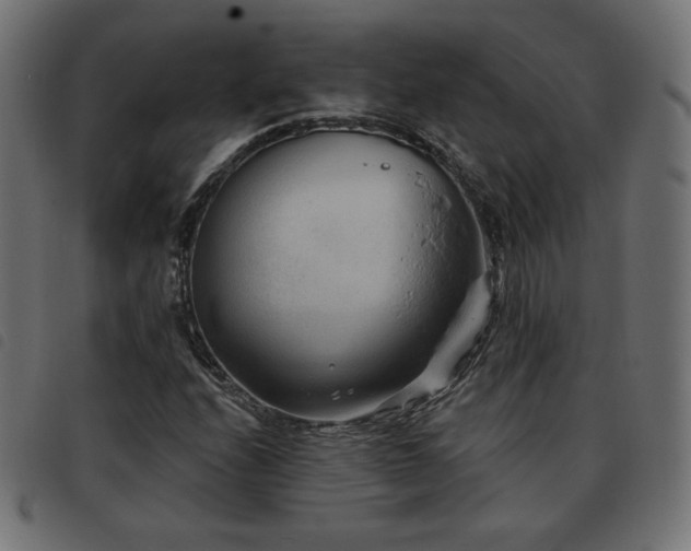 X0000093481208200710121438