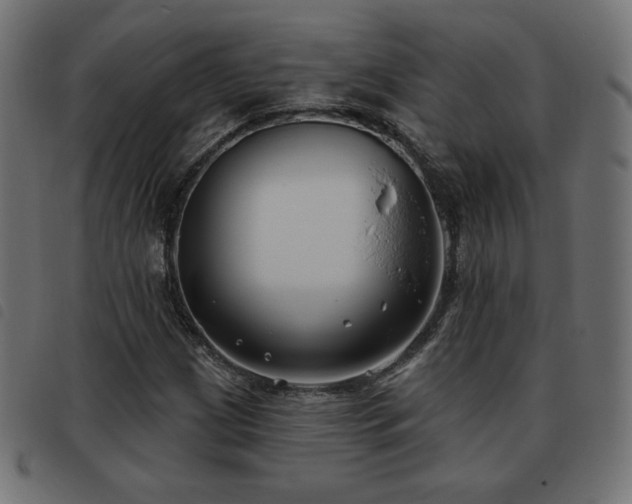 X0000093481209200710121438