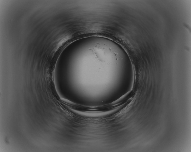 X0000093481210200710121438