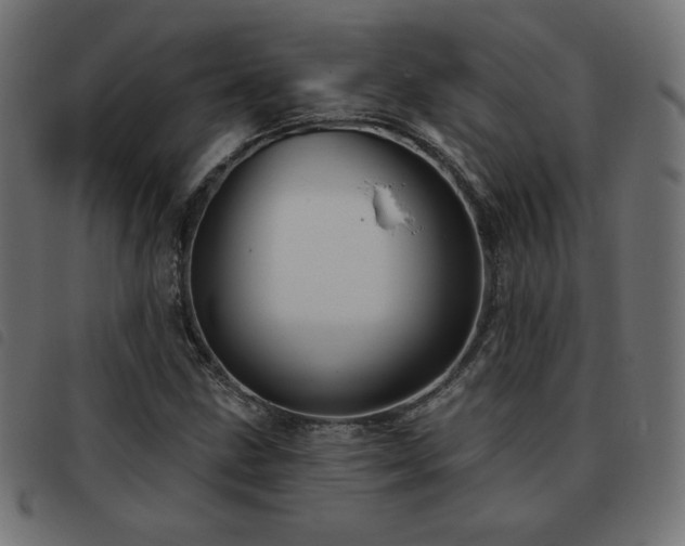 X0000093481211200710121438