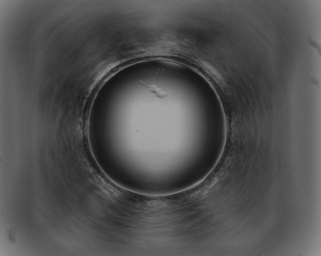 X0000093481212200710121438