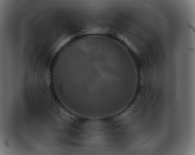 X0000093481213200710121438