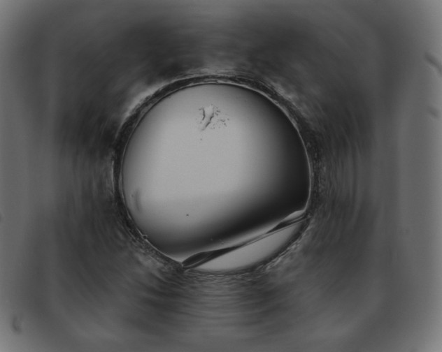 X0000093481214200710121438