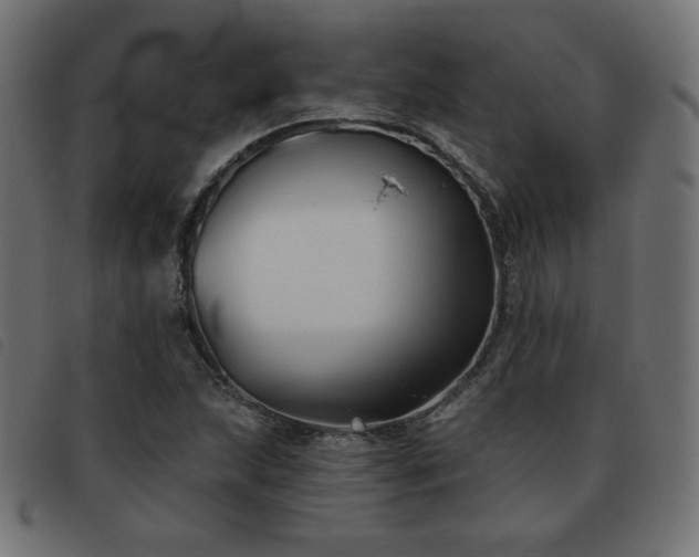 X0000093481215200710121438