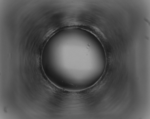 X0000093481217200710121438