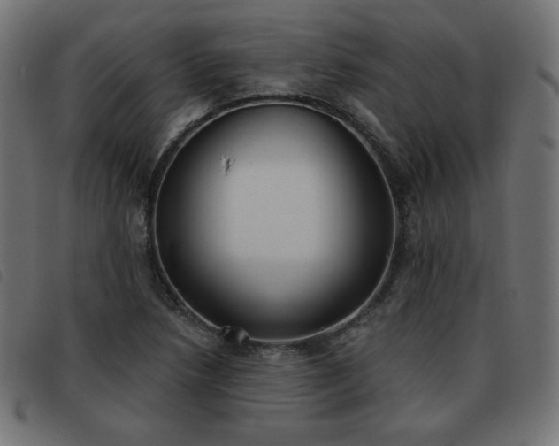 X0000093481218200710121438