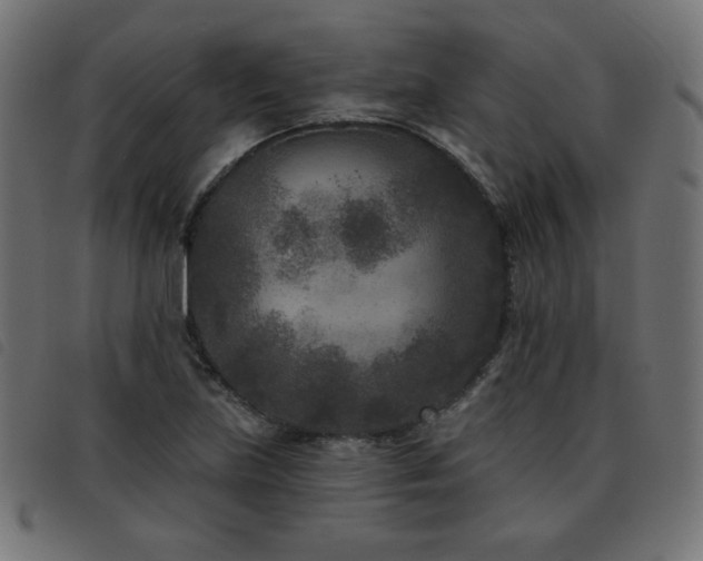 X0000093481219200710121438