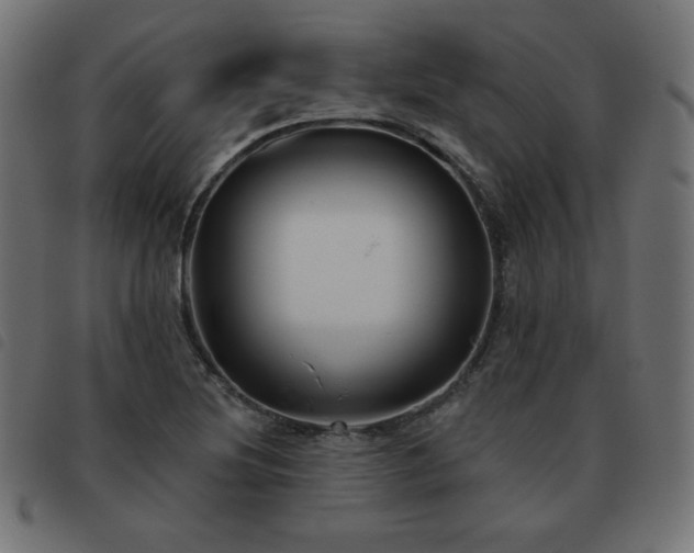 X0000093481220200710121438