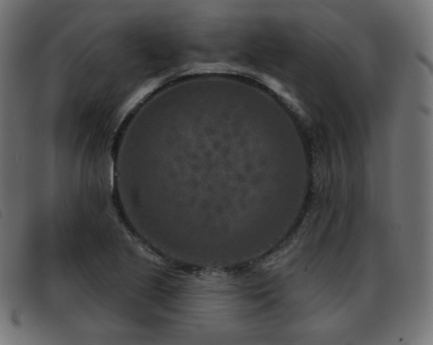 X0000093481221200710121438