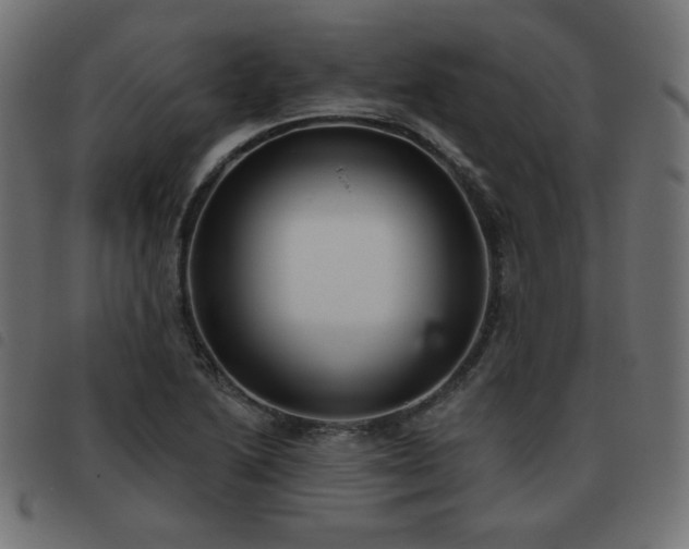 X0000093481222200710121439
