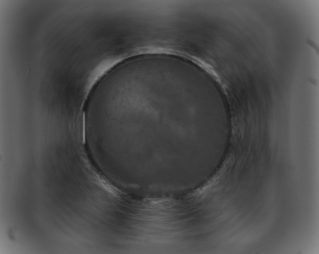 X0000093481223200710121439