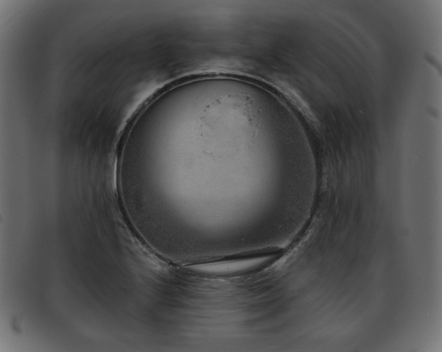 X0000093481224200710121439