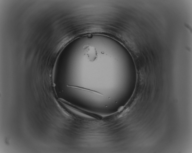 X0000093481225200710121439