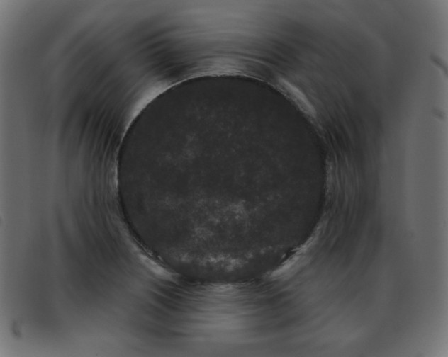 X0000093481226200710121439