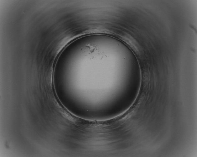 X0000093481228200710121439