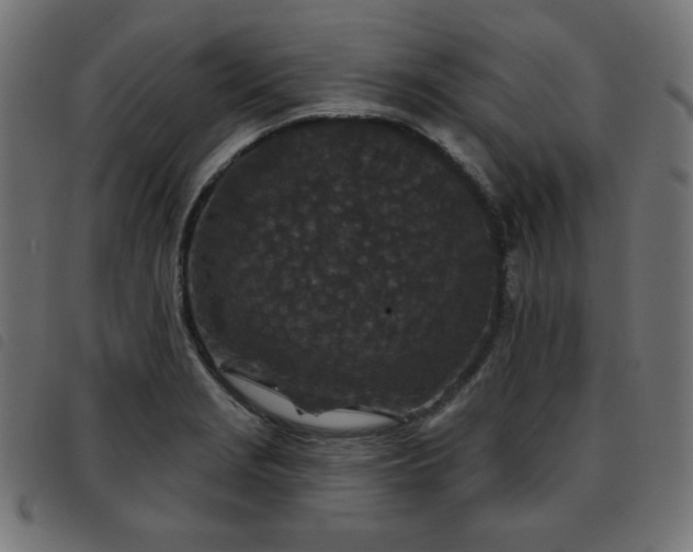 X0000093481229200710121439