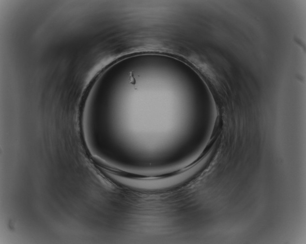 X0000093481230200710121439