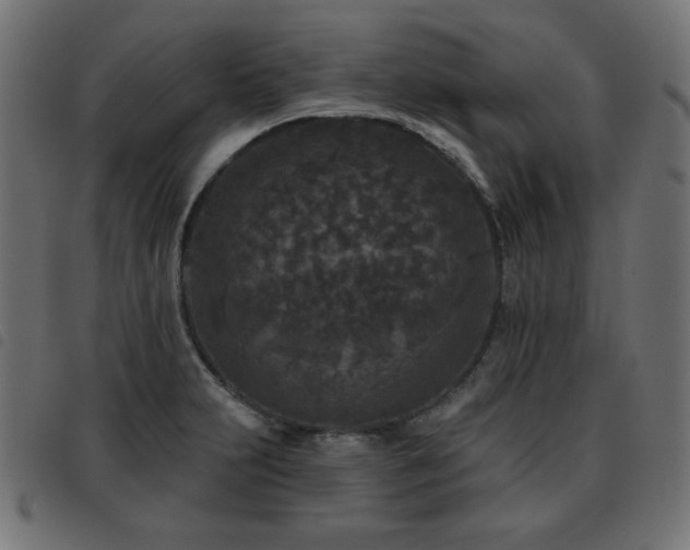 X0000093481231200710121439