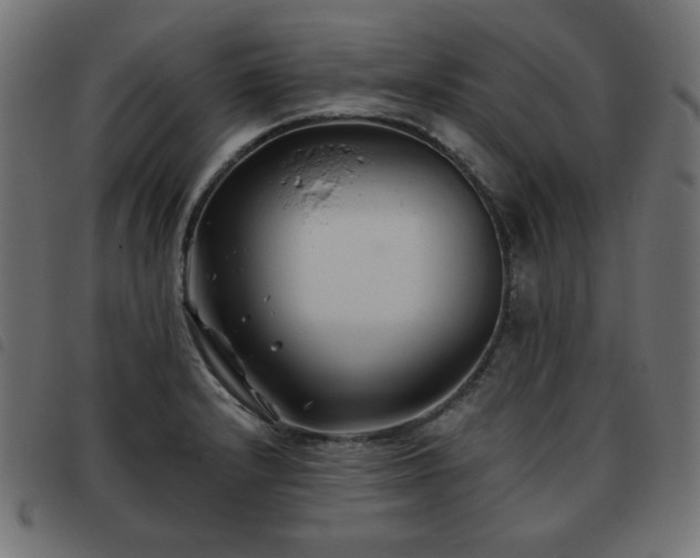 X0000093481232200710121439