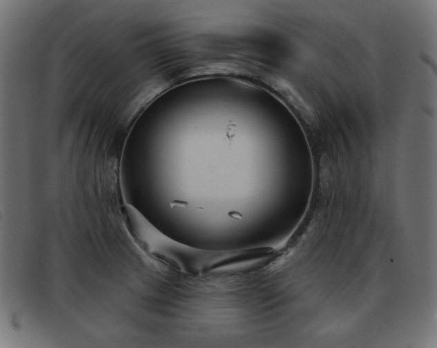 X0000093481233200710121439