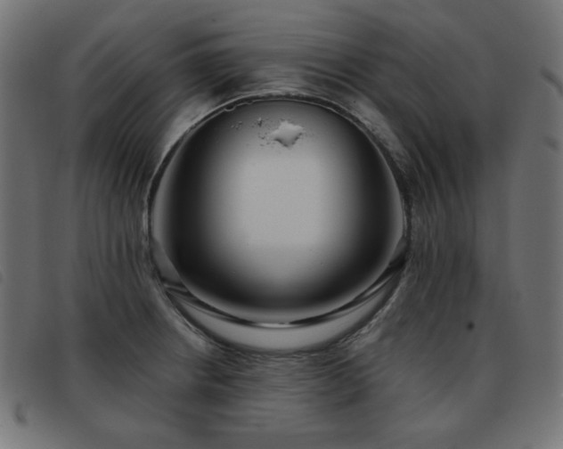 X0000093481234200710121439