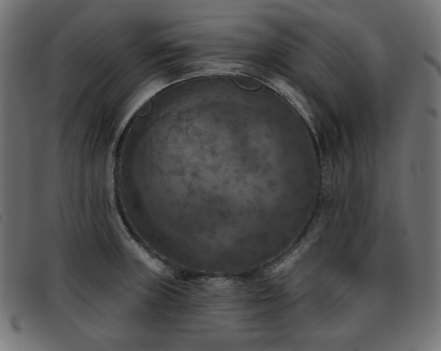 X0000093481235200710121439