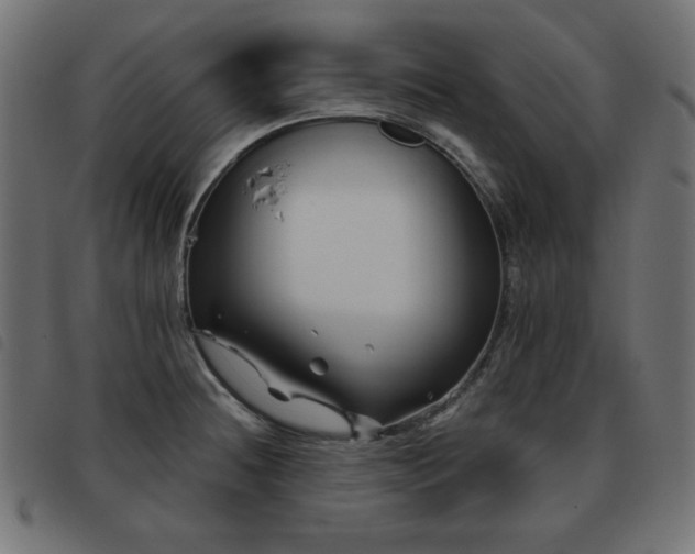 X0000093481236200710121439