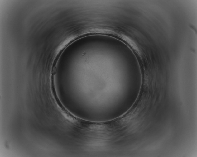 X0000093481237200710121439
